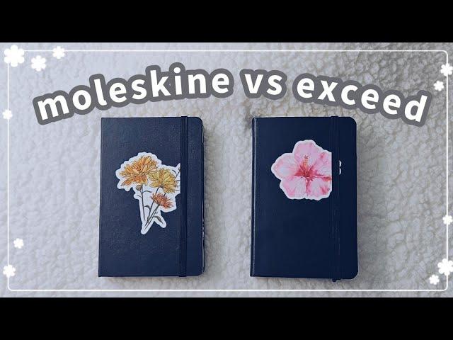 Exceed Pocket Notebook: Better than Moleskine?