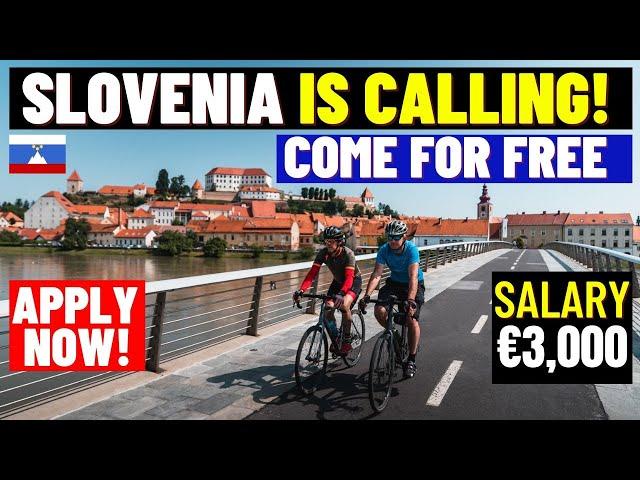 Slovenia Free Visa For Foreigners: Slovenia Job Seeker Visa 2023: Full Visa Process, Work Permit