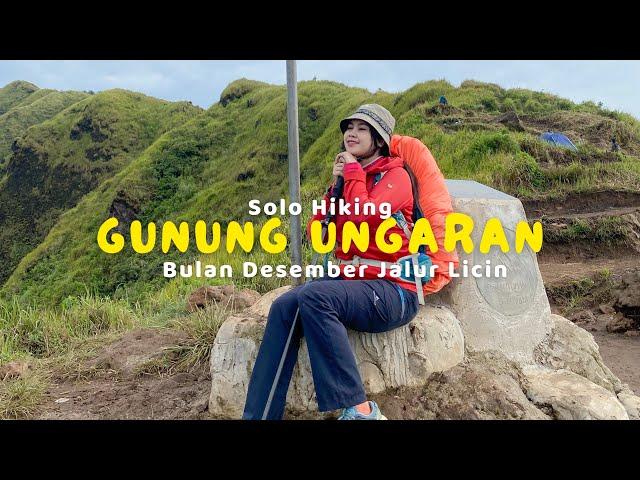 SOLO HIKING BULAN DESEMBER JALUR LICIN POL | GUNUNG UNGARAN PART 1