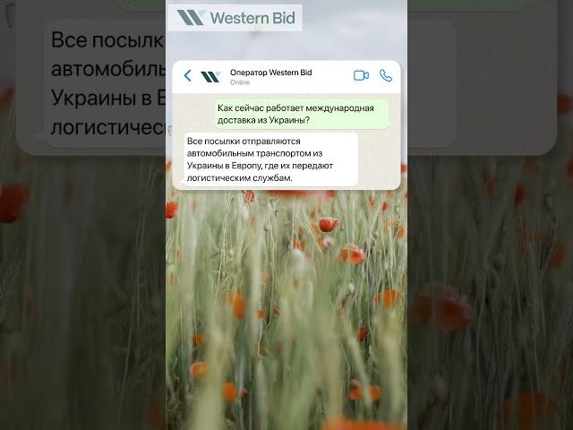 Почта международная доставка