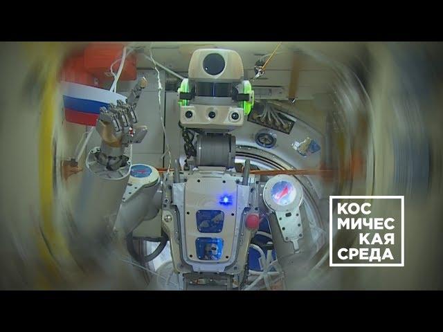 Космическая среда № 249 от 4 сентября 2019 года