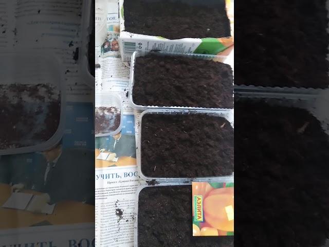 Садовод любитель