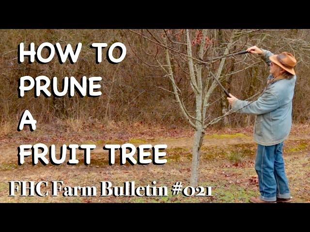 How to Prune a Fruit Tree - FHC Farm Bulletin #21