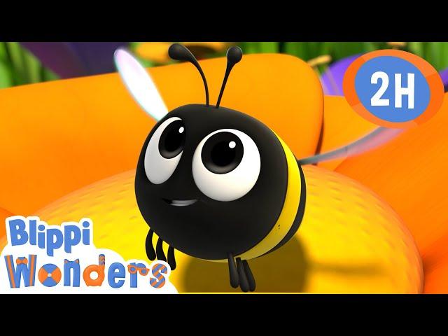 Honey | Blippi Wonders | Moonbug Kids - Play and Learn