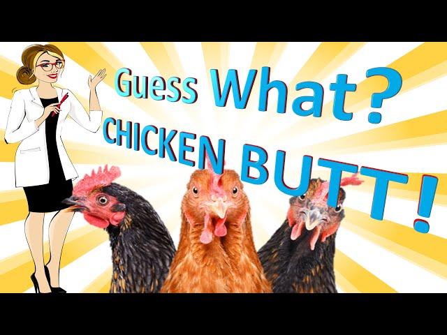 Chicken Butt research - The Nerdy Professor - Funny science research, Funny Science videos, laughter