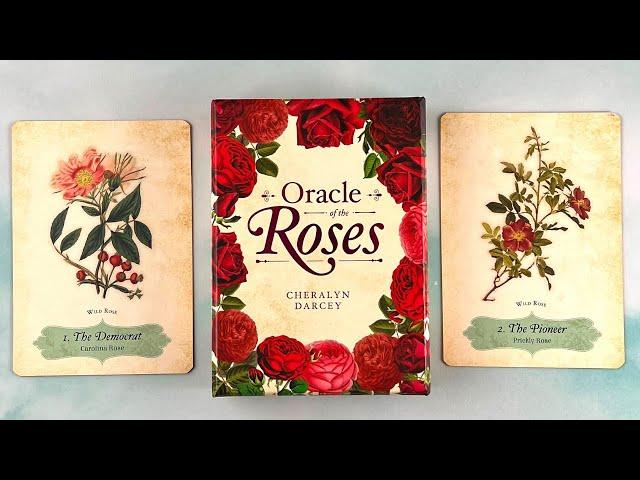 Oracle of The Roses  44 Red Gilded-Edge Cards and 144-page Oracle Deck  Full HD Flip Through