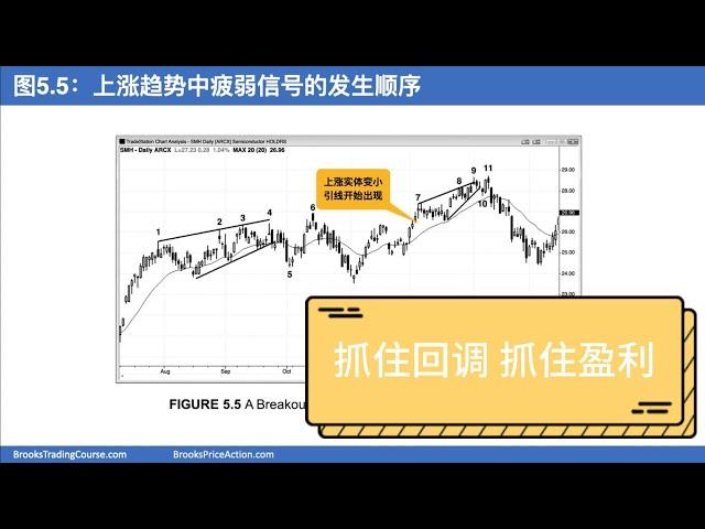 价格行为 Al BROOKS 阿尔 布鲁克斯 教你读懂回调 这才是交易的核心 08（价格行为第二本天书）