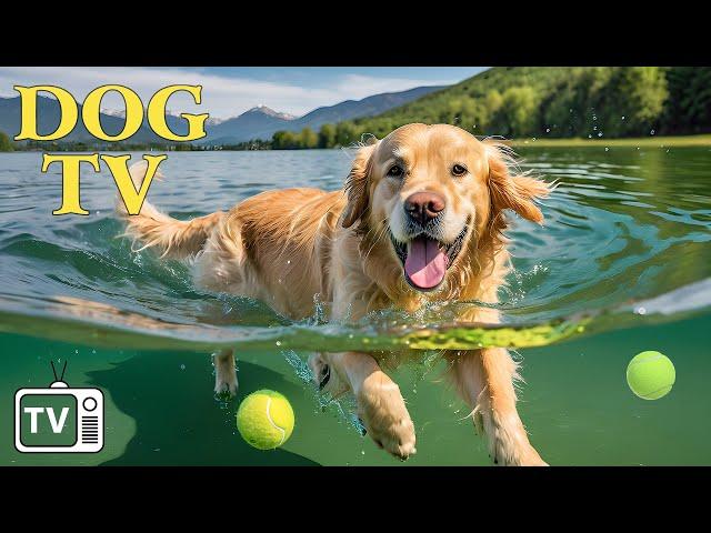 Dog TV: Video Best Fun Entertainment for Bored Dog - Anxiety Relief for Dog with Dog Music