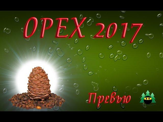 Орех 2017. Превью.