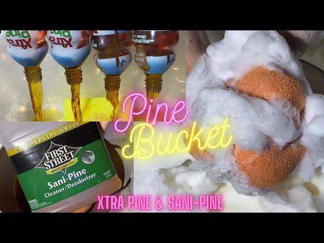 Super Sudsy Pine Bucket | Xtra Pine + Sani Pine