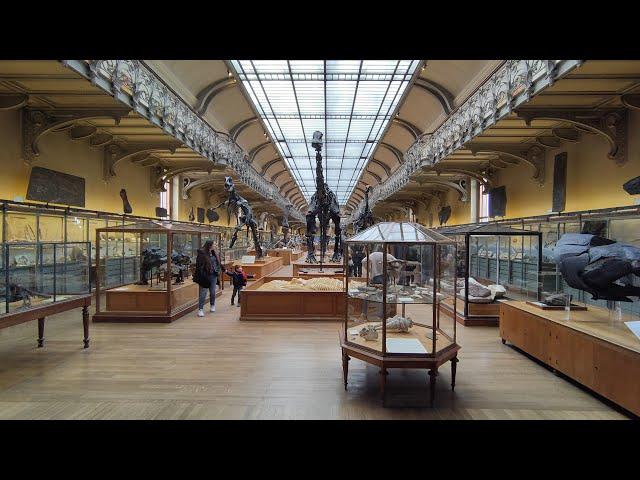 Walking in Paris【4K】Muséum national d'Histoire naturelle