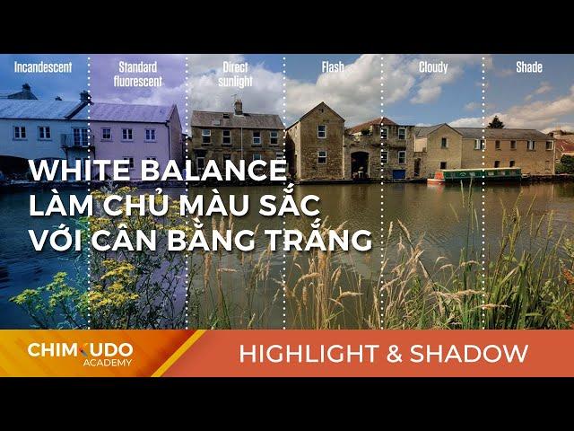 White Balance - Làm chủ màu sắc với cân bằng trắng