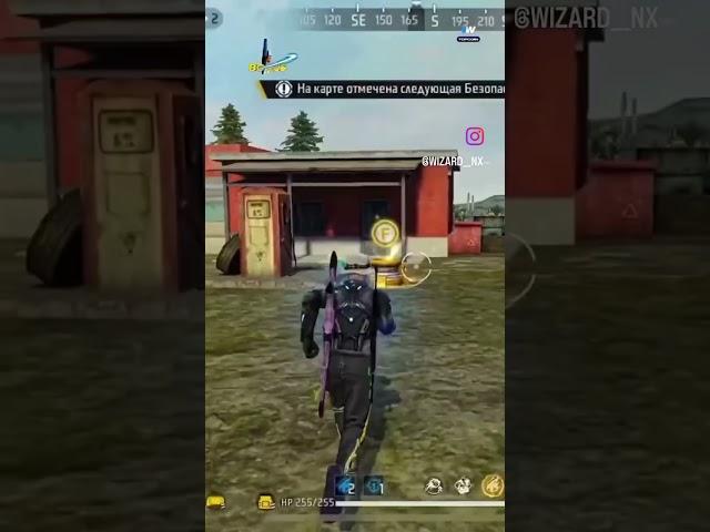 pro 