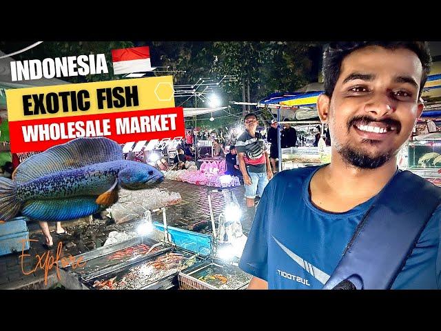 Asia Biggest Exotic Fish Market In Jakarta | Exploring Indonesian Ornamental Fish Market