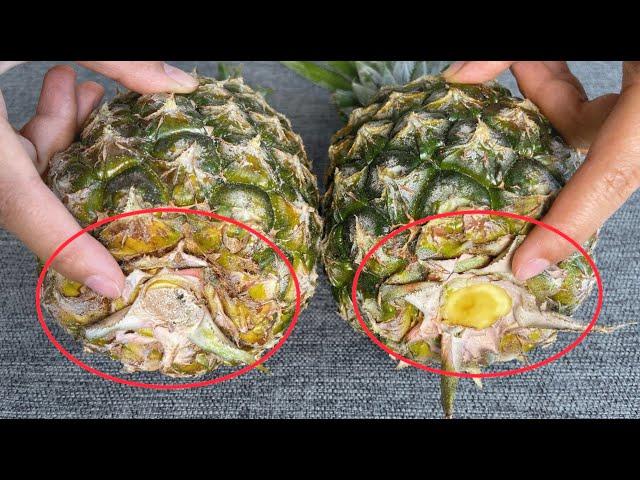 菠蘿甜不甜，瞧一眼這裡就知道，一挑一個准，老果農的方法真實用 。【美食彩味 VS 明玥美食 Magic Food】 、【Pick pineapple】挑选菠萝