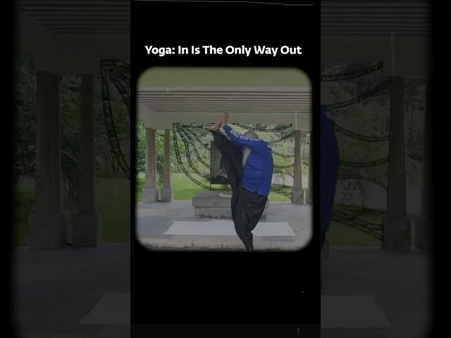 Yoga: In Is The Only Way Out