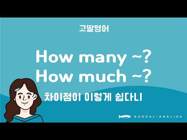 [76] 2권 Unit31 how much와 how many의 차이점은?