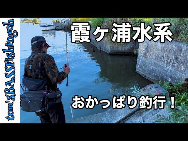 【霞ヶ浦　バス釣り 冬】初冬のおかっぱり！定番ポイントをランガンしていく！