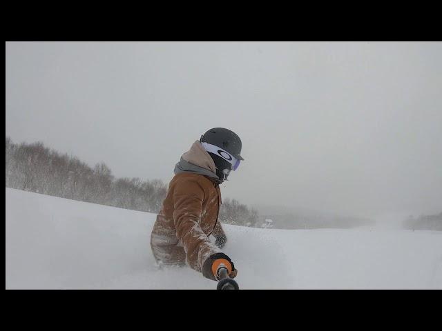 Catboarding - Niseko 2019. Niseko weiss powder cats