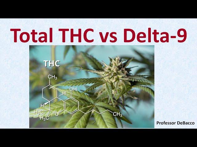 Total THC vs Delta 9