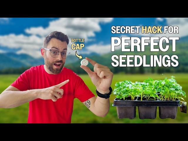 10 Free Hacks For Veggie Gardners