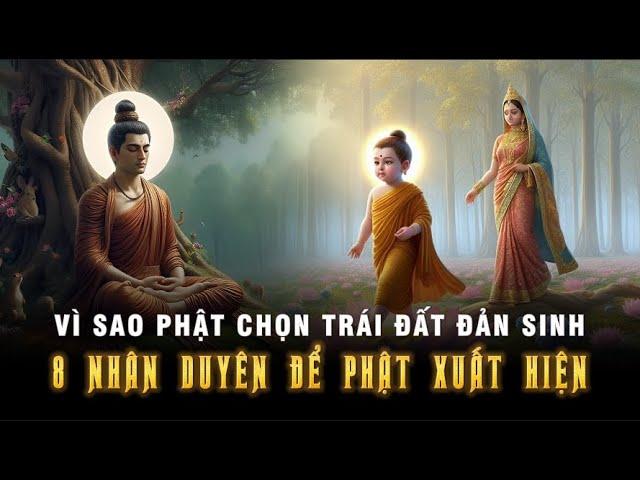 Vì sao Đức Phật trọn Trái Đất để Đản Sinh - 8 Nhân Duyên Để Đức Phật Xuất Hiện