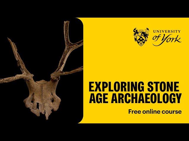 Exploring Stone Age archaeology (free online course)