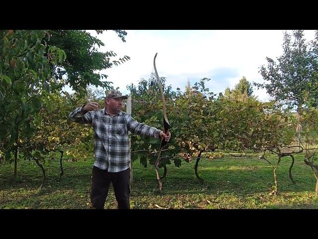 Harpoon Recurve bow