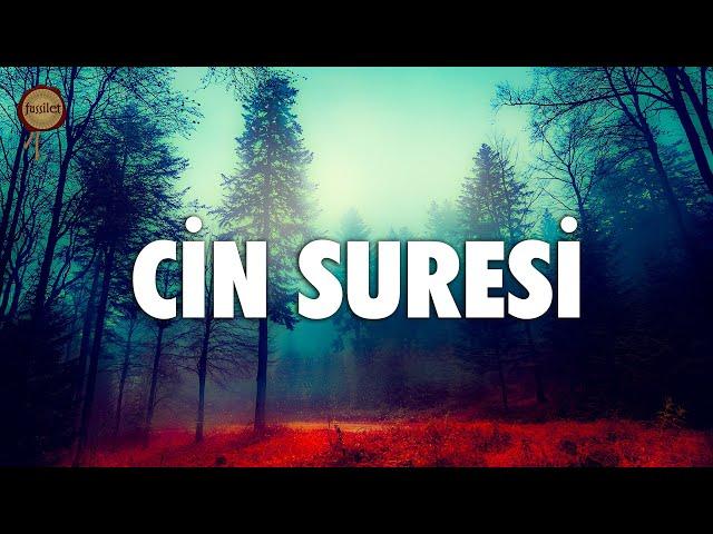 Cin Suresi | fussilet Kuran Merkezi