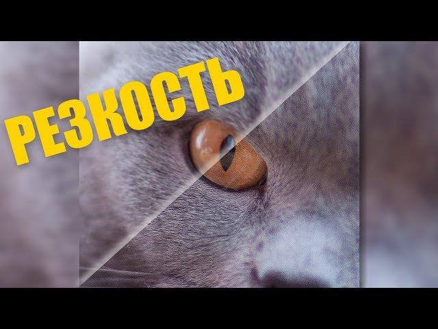 Как увеличить резкость фото в PhotoShop (ЭКСПРЕСС-УРОК)