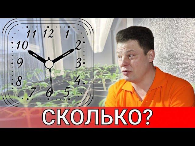 что будет если досвечивать рассаду круглосуточно, сколько на самом деле надо досвечивать рассаду