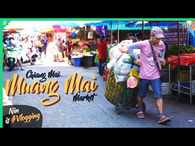 Biggest Food Market in Chiang Mai Thailand - Muang Mai Market