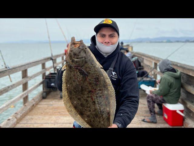 Candlestick Point Fishing Pier San Francisco Bay Halibut Fishing