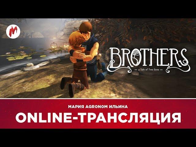 Сказ о двух братьях | Мария Ильина (agr0n0m)