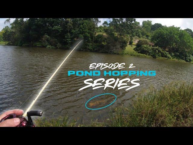 Pond Hopping Series - Ep 2 - Searching for that GIANT BASS - Bass fishing South Africa