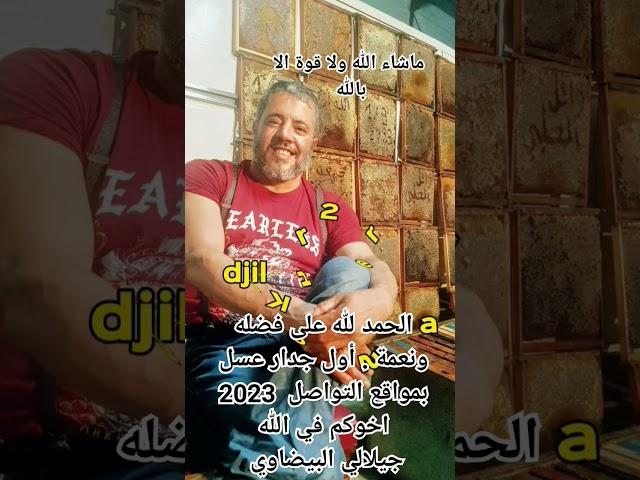 اول جدار عسل على مواقع التواصل الاجتماعي  منتوج  جيلالي البيضاوي