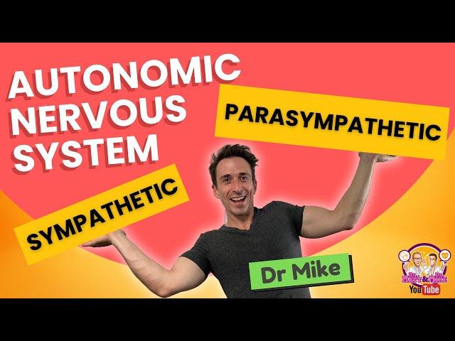 Autonomic Nervous System (Sympathetic & Parasympathetic) - Overview