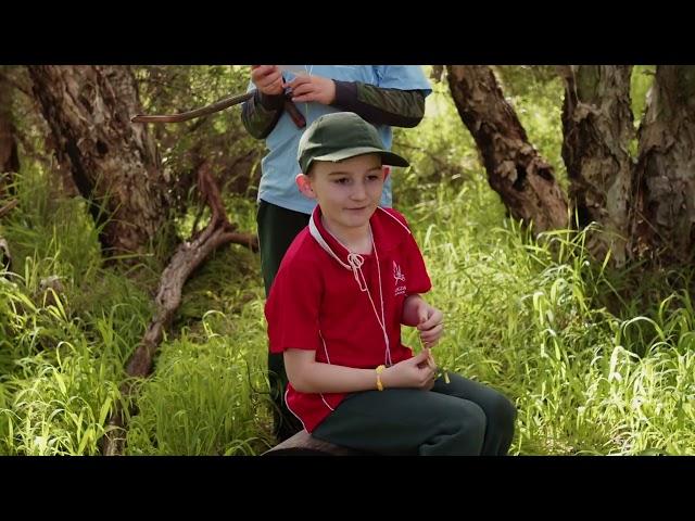 Nature Education - Nature Connection Series