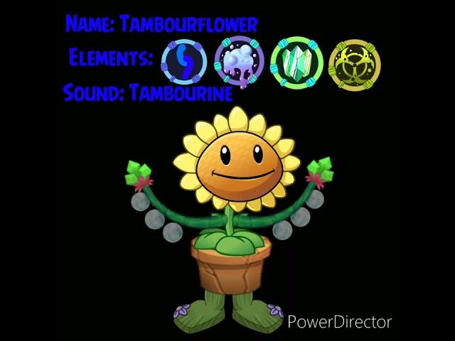 Tambourflower