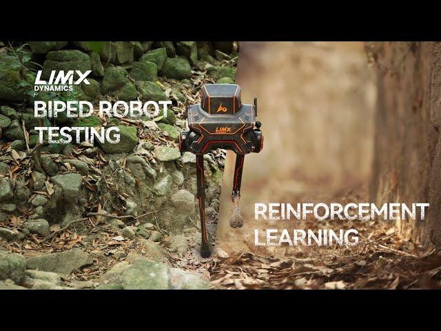 LimX Dynamics’ Biped Robot P1 Conquers the Wild Based on Reinforcement Learning