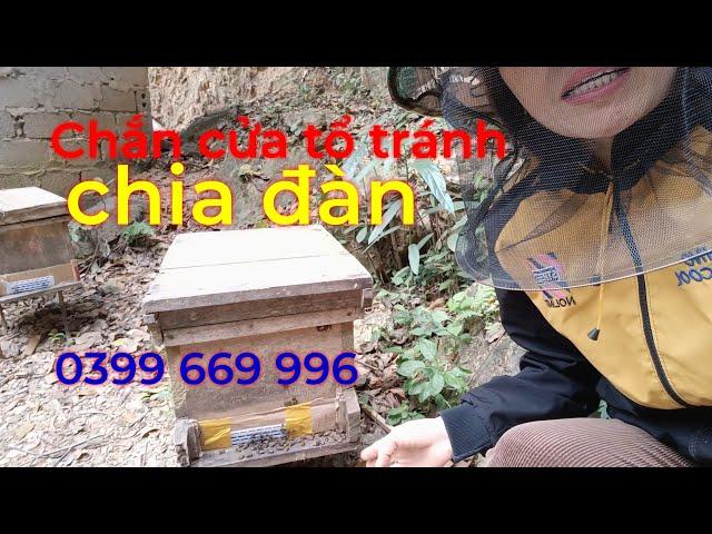 Ong chia đàn, tác dụng chắn cửa tổ và ngăn kế