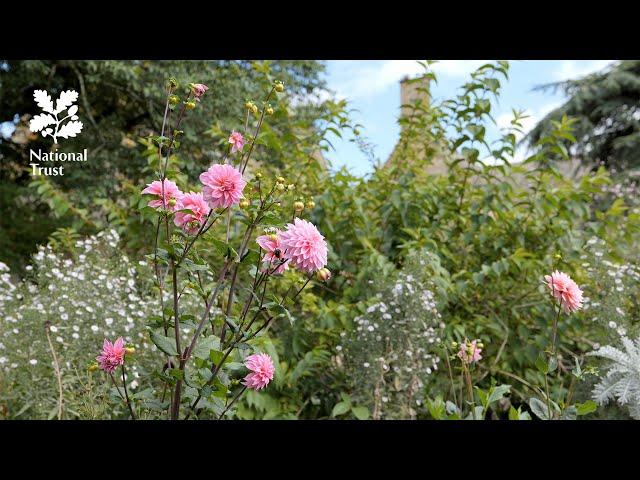 Explore an Arts and Crafts garden with the National Trust at Hidcote