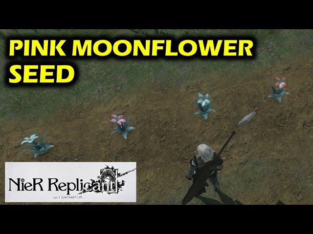 How To get Pink Moonflower Seed: Life In The Sands Side Quest | NieR Replicant ver 1.22 (2021)