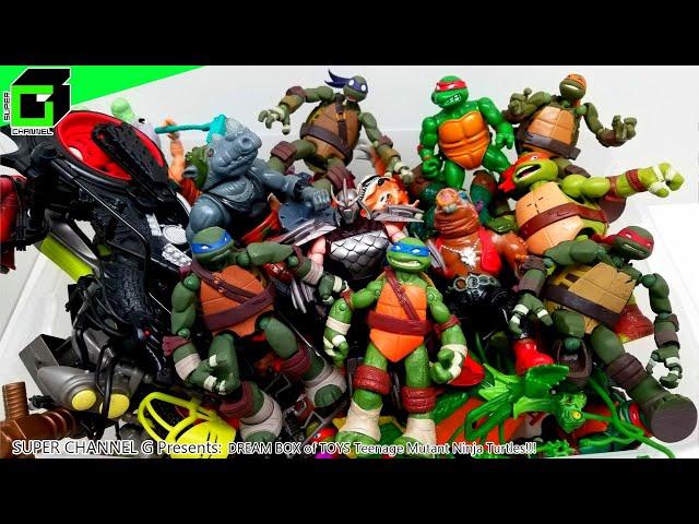 DREAM BOX of TOYS - Teenage Mutant Ninja Turtles!