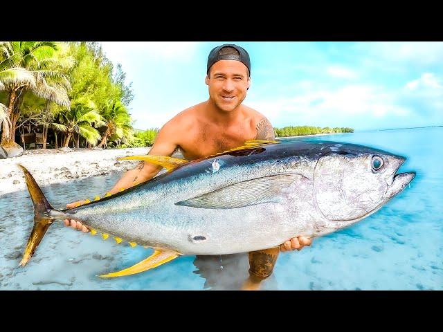 Giant Tuna Catch And Cook