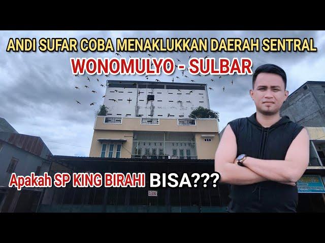 ANDI SUFAR COBA MENAKLUKKAN DAERAH SENTRAL WONOMULYO SULBAR apakah SP KING BIRAHI BISAA???