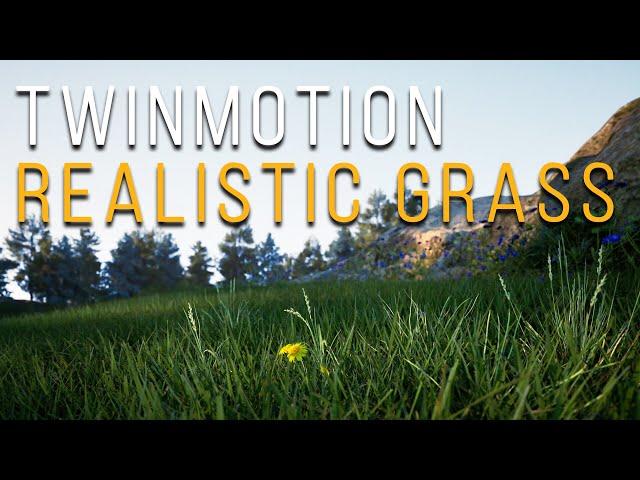 Realistic Grass in Twinmotion 2024 Tutorial