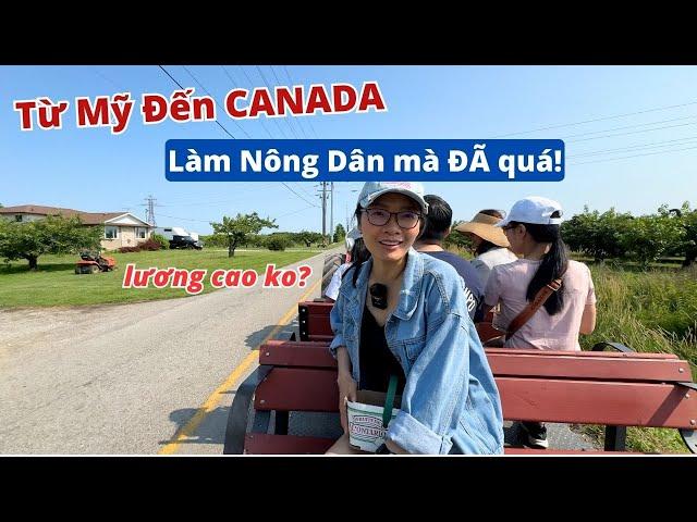 Nông Trại ở Canada và Khám Phá Vùng Biên Giới Mỹ-Canada