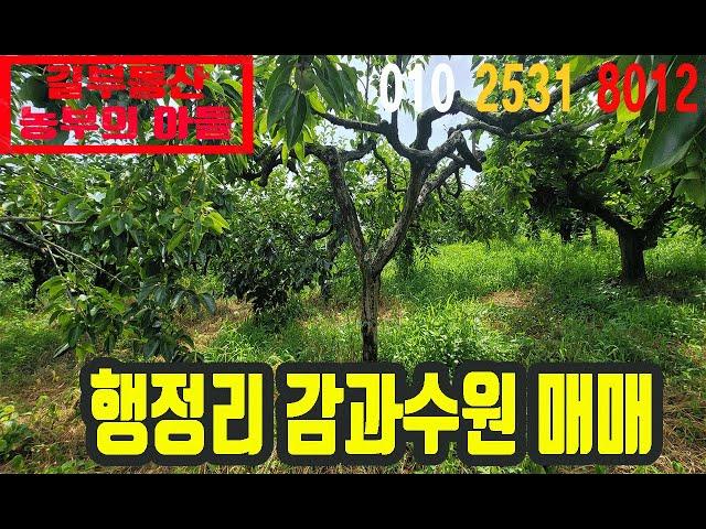 기산면 행정리 과수원 매매 #행정리 토지매매 #과수원매매 #왜관부동산 #길부동산 #왜관길부동산