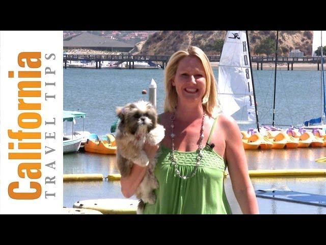 Pet Friendly Hotels in California | California Travel Tips